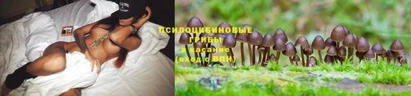 прущий лед Михайловка