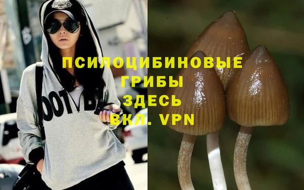 скорость Нея