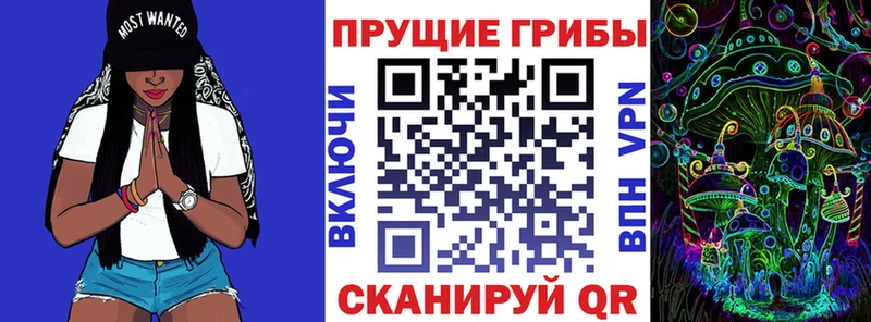 цена наркотик  KRAKEN рабочий сайт  Галлюциногенные грибы Psilocybine cubensis  Волгоград 