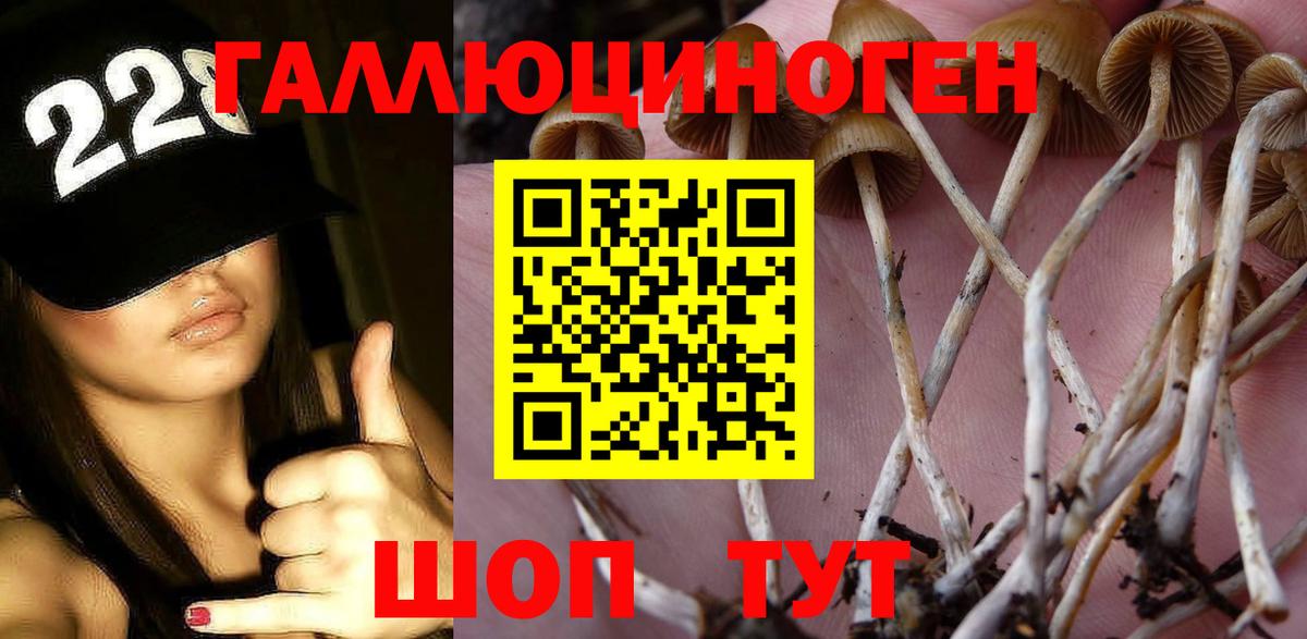 Волгоград  Галлюциногенные грибы ЛСД  Вход с VPN 
