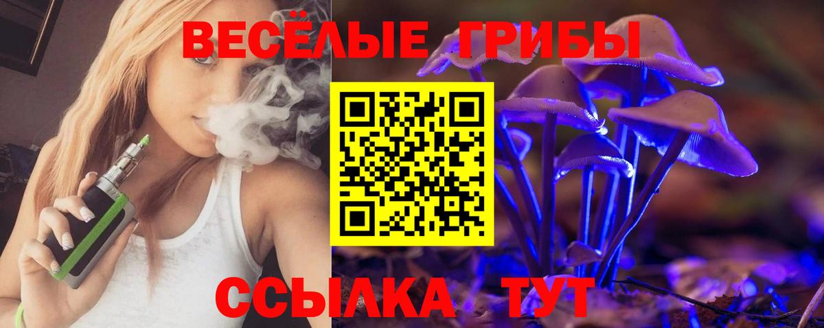 Галлюциногенные грибы Magic Shrooms Волгоград