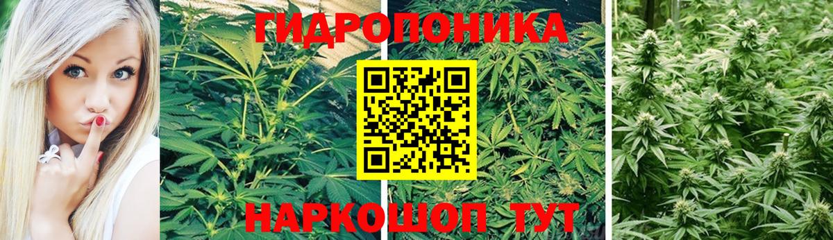 Марихуана сатива  Канабис ГИДРОПОН  Волгоград  Бошки Шишки MAZAR  Вход с VPN  Бошки Шишки марихуана 
